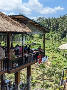 A café overlooking a rice field in Bali, Indonesia. The café is completely open-air. One section of the roof is made with straw, and the other with corrugated metal.
