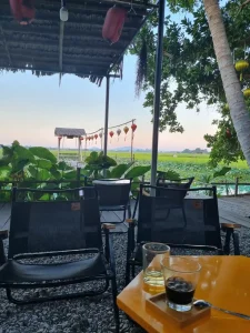 A café next to a rice field in Vietnam. In the background is the rice field with a dock that customers can walk on to go into the swampy rice field. A black coffee on ice and a tea is on a table where the photographer is seated. The café is outside, thus open-air. A structure resemblying a canopy has been made for shade, and two red lanterns hang from it.