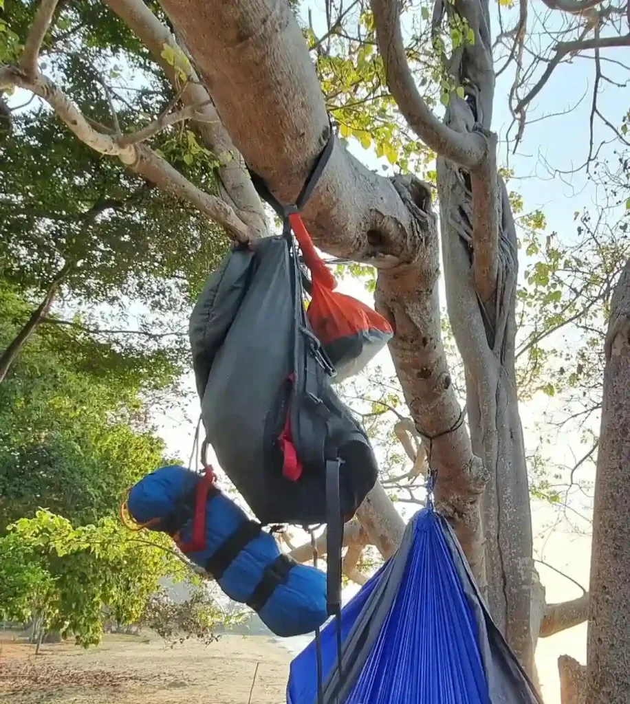 Camping gear; a small backpack, tent, and stuff sack; hanging from a tree limb to suspend it off of the ground.