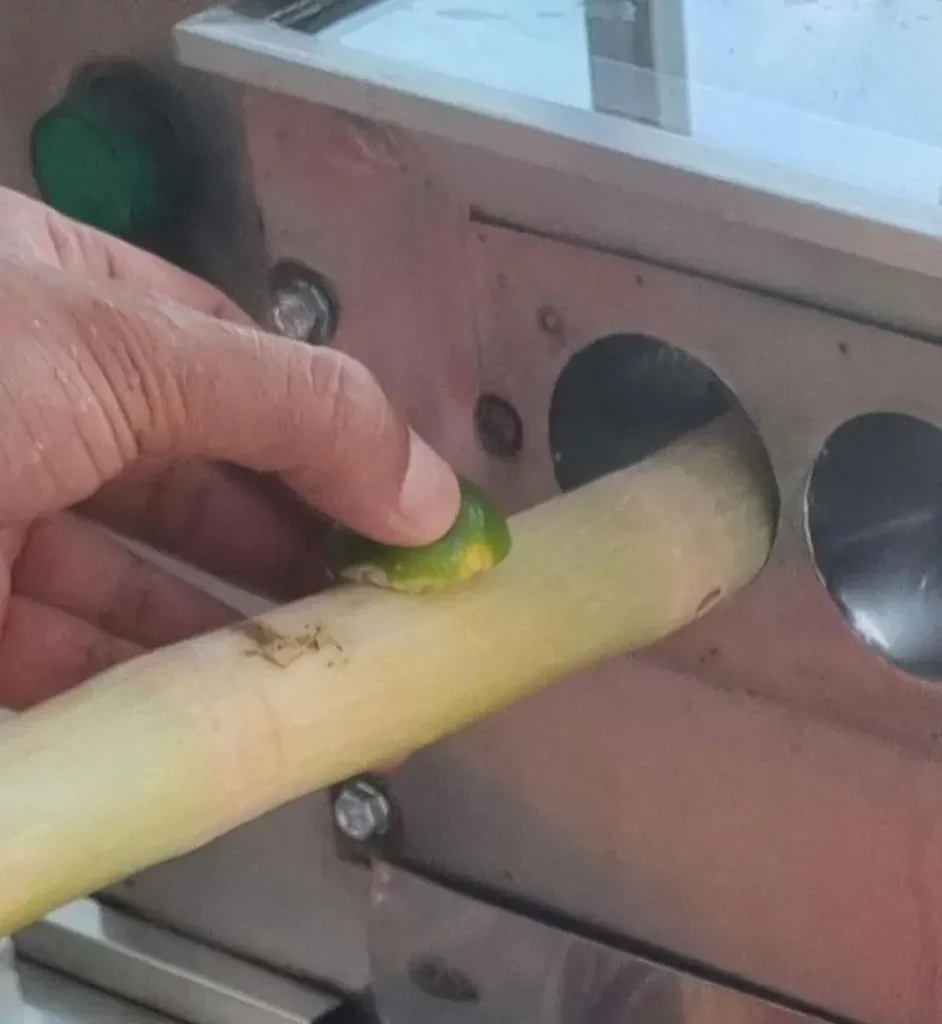 A close-up of worker using a machine to make sugarcane juice in Southeast Asia. They are actively feeding a lime and a stick of sugarcane through a machine with rollers than compress the sugarcane to squeeze the juice out of it.
