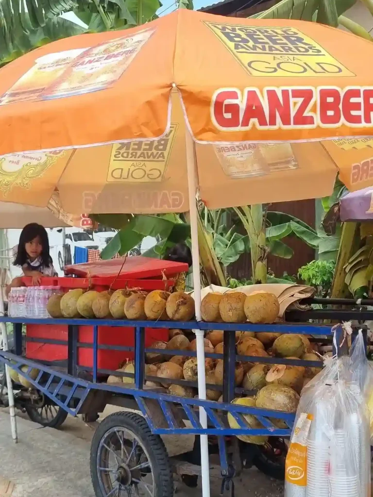 A seller of coconuts and coconut milk drink in Cambodia. The seller has a small trailer with coconuts stored within and on top of it. They have a large umbrella for shade, plastic cups, and a cooler with ice inside. A child is tending the business with their parent, who is not in the picture.