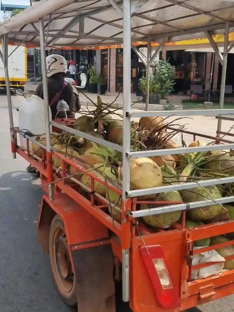 A motorbike rider with a trailer attached that has coconuts inside, driving down the road.