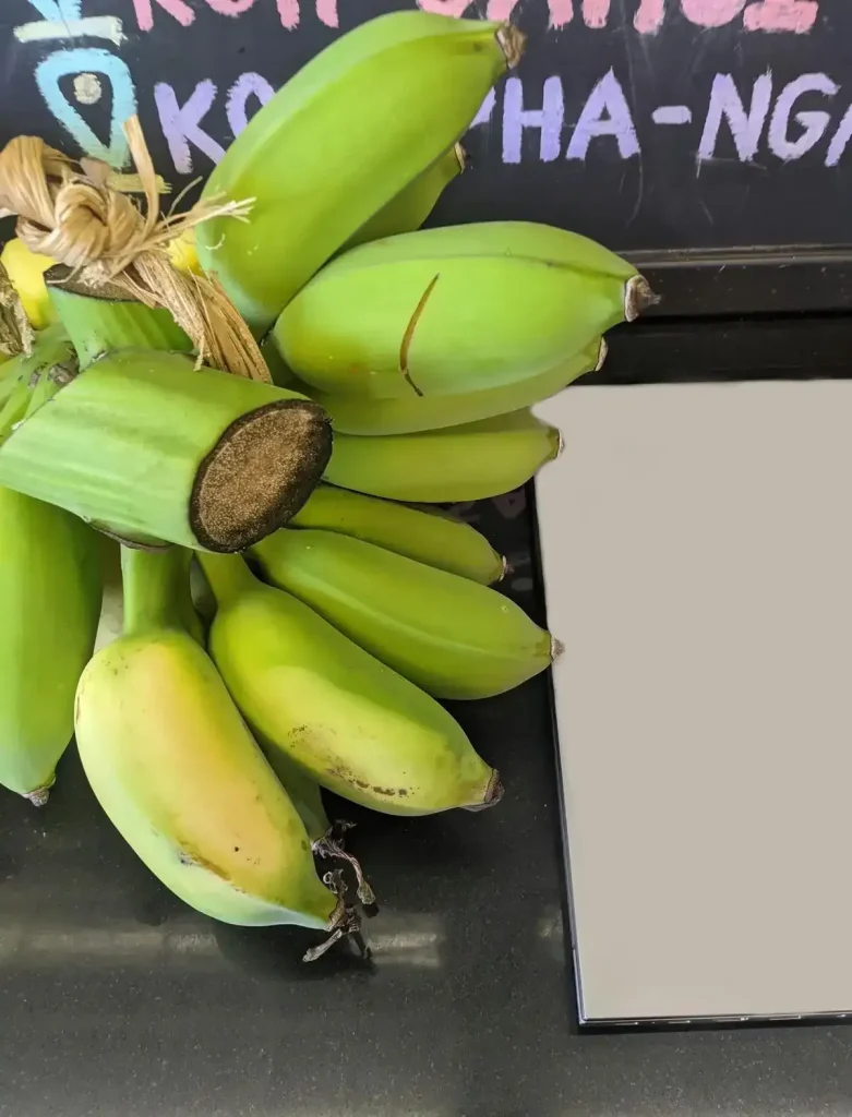 Freshly cut set of bananas that are of large girth, a strain of bananas found in Thailand.