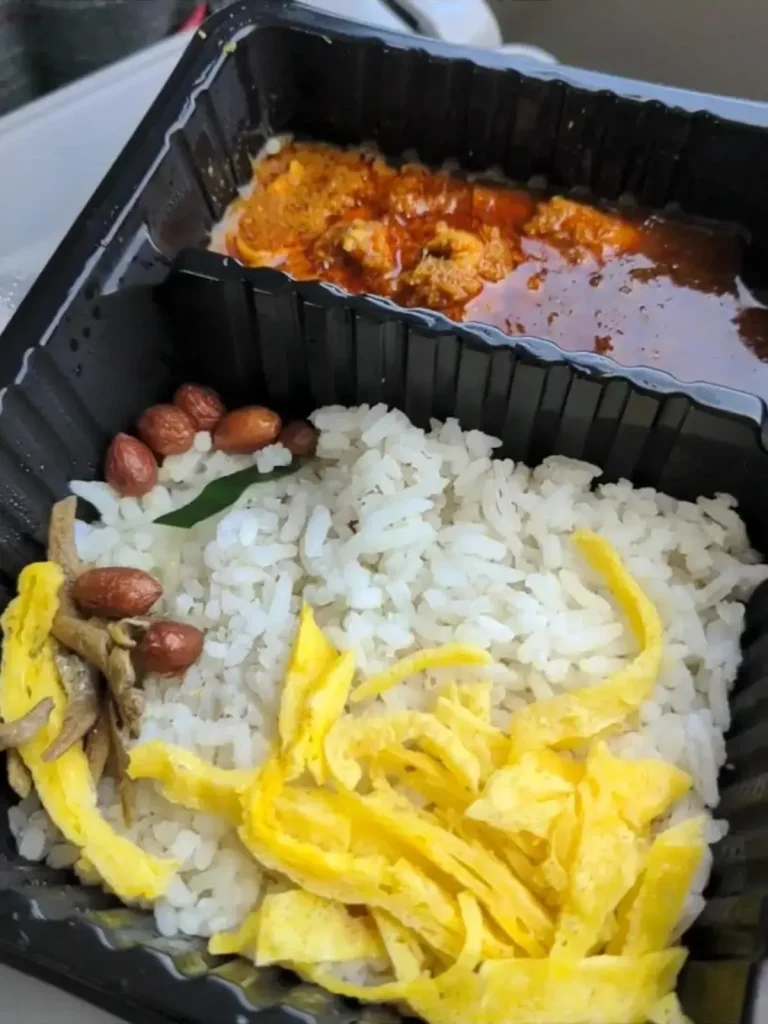 Food severd on an Indonesia train for first class ticket holders. The food is resting on a table that folds out of the seat. The food is rice with some curry meat, a little bit of egg, and a few peanuts.