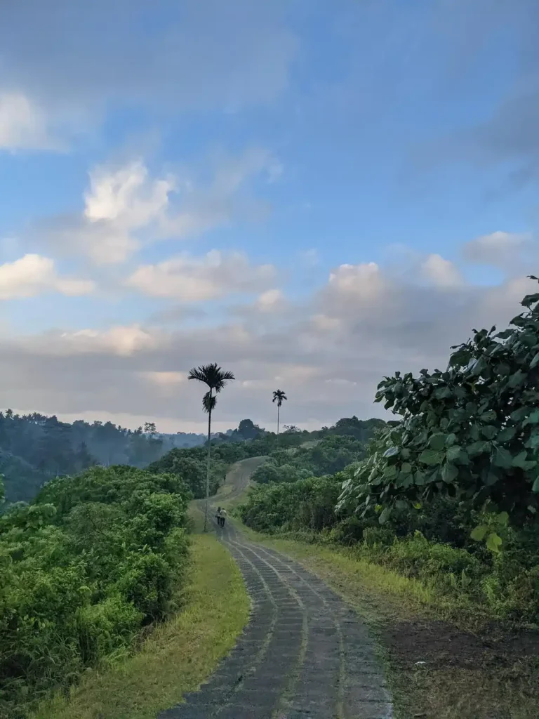 A concrete tiled pathway traversing a small mountain ridge in the jungle region of Ubub, Bali, Indonesia.