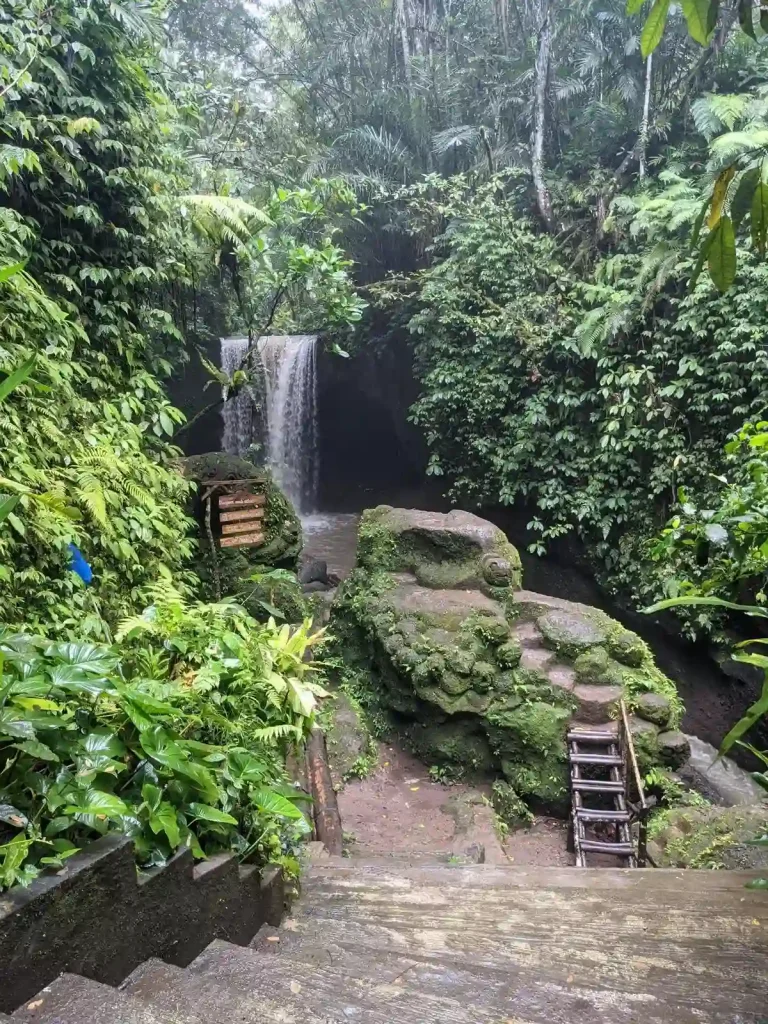 A waterfall within the jungle in Bali, Indonesia. The image is taken on stairs that lead to the waterfall with a view above the waterfall, which is in the not-so-distance background. In between the stairs and the waterfall is a rocky area that can be climbed onto, which provides a 7 feet tall elevated area to view the waterfall from. Thick vegetation consisting of various trees and green plants surround the whole area, as it is a jungle.