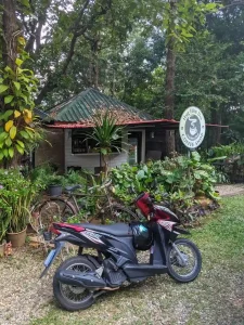 A motorbike (scooter) parked in a patch of grass outside a cafe in Thailand. The motorbike is an Honda Click, which has an automatic transmission.