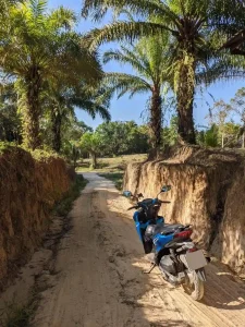 A motorbike (scooter) parked on a back-country road in Thailand. The scenery is tropical with palm trees. There are no people in the image. The motorbike is an Honda Click, which is an automatic (not manually or semi-automatic). This means that the rider never switches gears manually - the motorbike has a CVT automatic transmission.