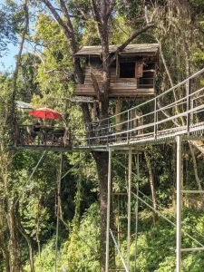 A tree house café built on a cliff. An elevated steel walkway is built on the cliff and attaches to trees. In one of the trees is a small treet house with a ladder to climb into it from the walkway. On the other tree is a deck with a table, seating, and umbrella for shade.