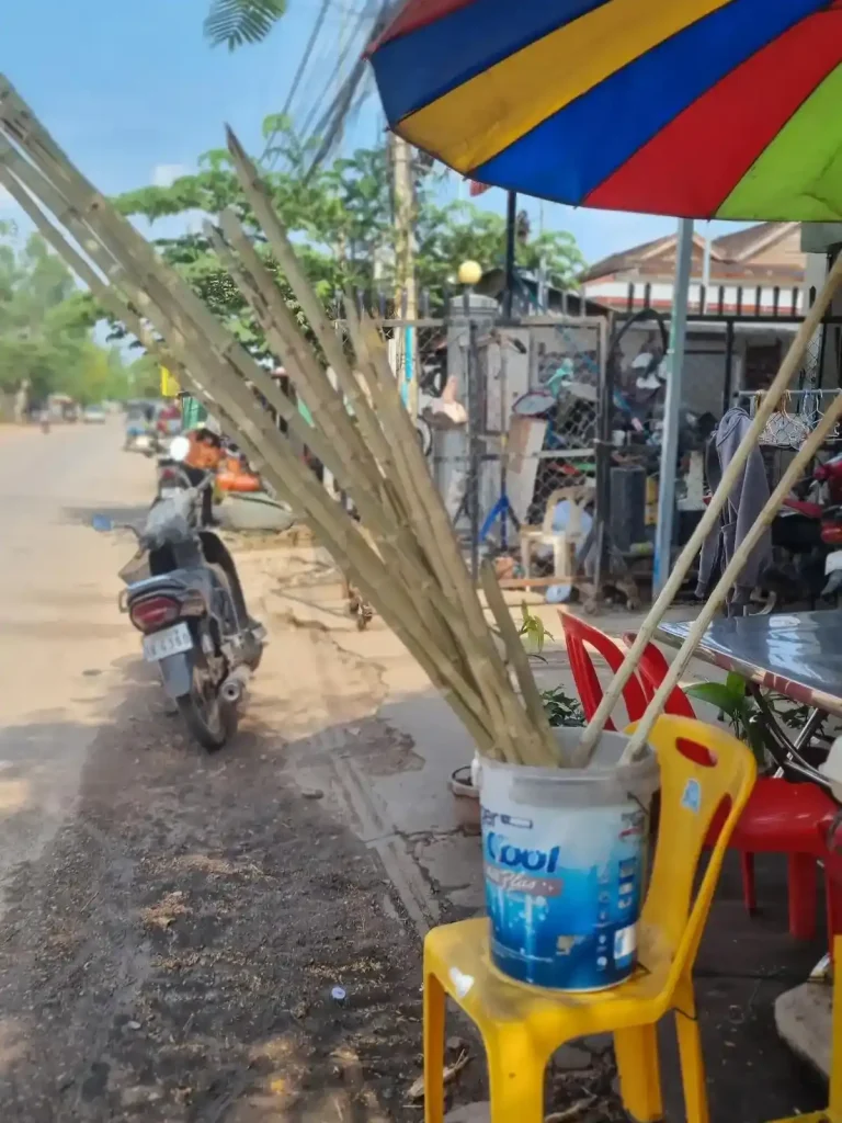 Several long sticks of sugarcane sticking out of a five gallon bucket. The bucket is on a chair next to the road in Cambodia. This is for making sugarcane juice.