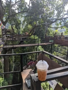 A Thai milk tea at a tree house café built on a cliff. There are several elevated steel walkways that built on the cliff. At the end of each walkway is a deck with a table and seating.