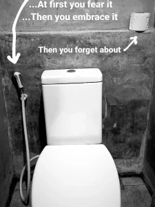 An image of a toilet with a handheld bidet in Southeast Asia, which is very common in all homes and public restrooms. This bidet is nearly the exact same as a spray gun that is found on a kitchen sink in the USA.