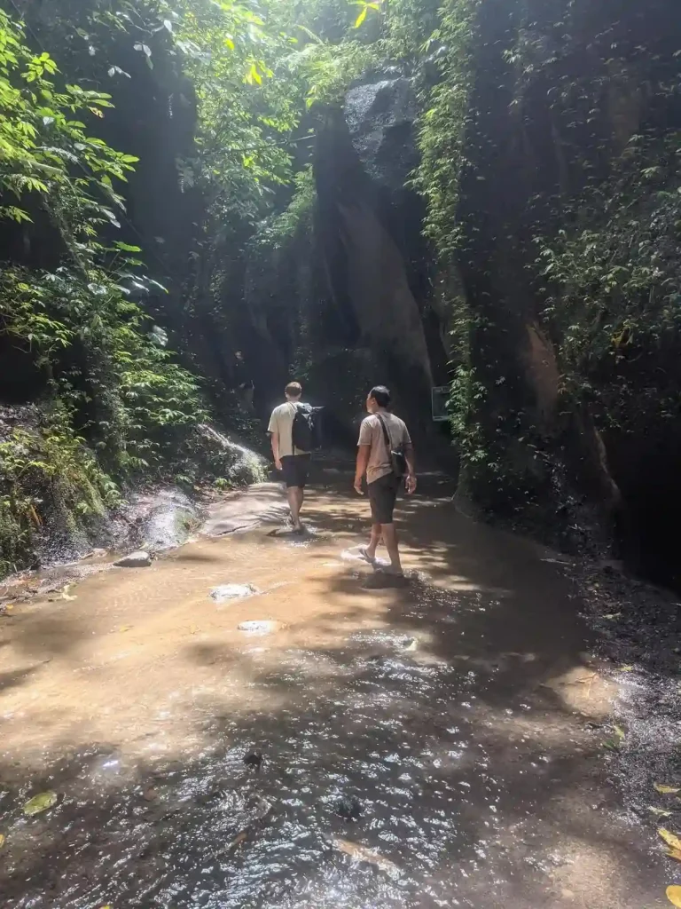 Two people, both male, are walking through a shallow (ankle-deep) creek that ranges from three to six feet wide. The creek runs through a crevice with high rocky walls. Various green plant cover the wall. The people are wearing sandals throught the water and day bags (i.e. small backpacks). Sun shines through just enough to cleary see while walking in the creek.