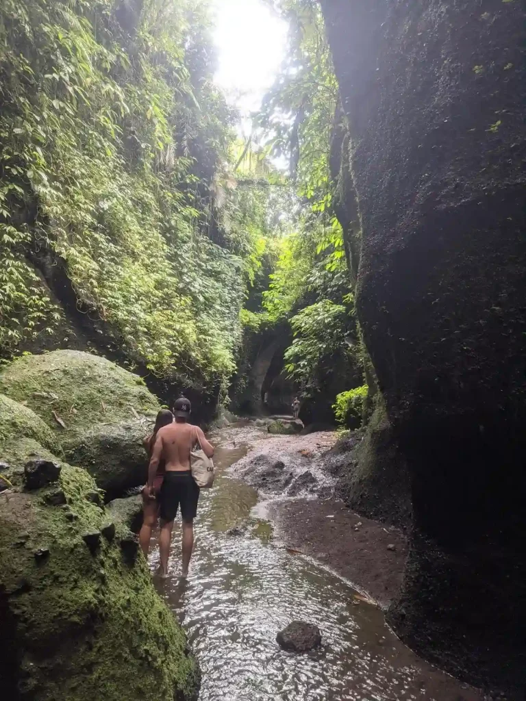 Two people, a male and female, are walking through a shallow (ankle-deep) creek that is about three feet wide. The creek runs through a crevice with high rocky walls. Various green plant cover the walls, and there are two large boulders along the creek where the people are standing. The people are wearing clothing for wet conditions like sandals, and sports clothing. Sun shines through just enough to cleary see while walking in the creek.