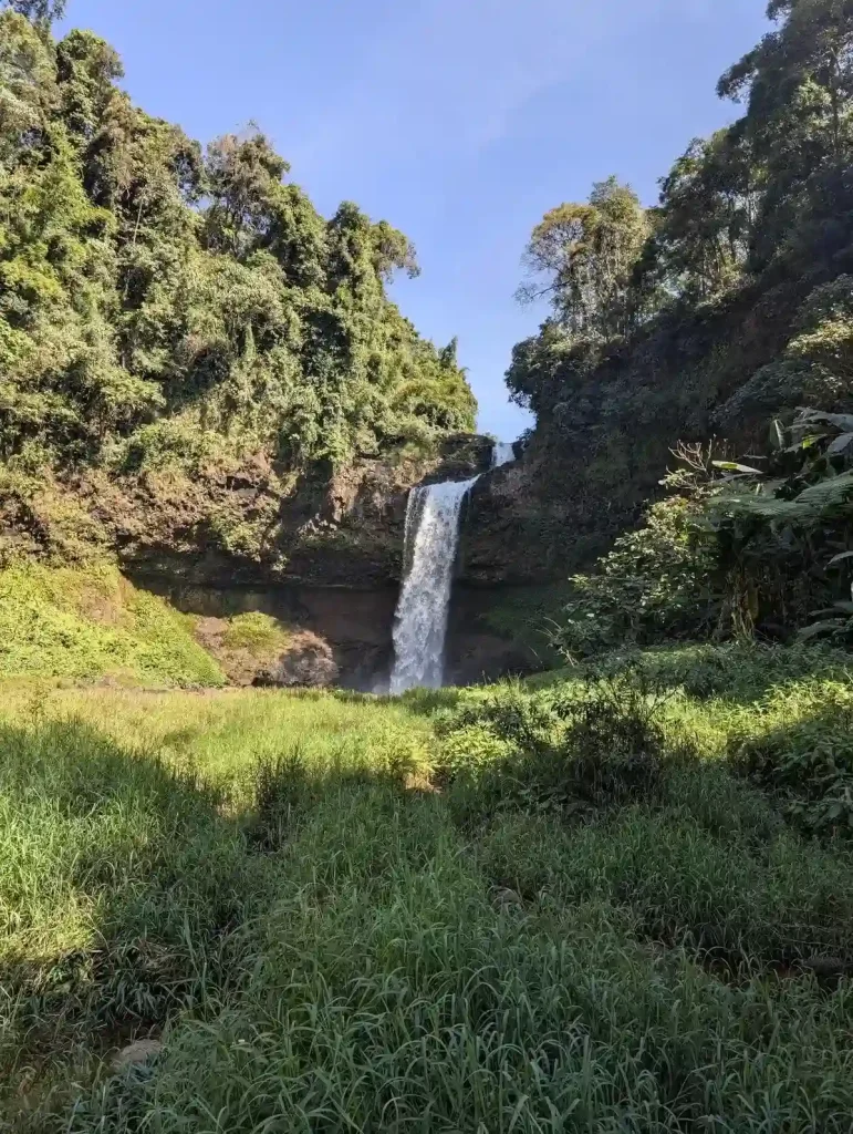 A large waterfall in a remote area with lots of water rushing off and into a water pit at the bottom. At the top, there are many trees. At the bottom is lots of grass, so it is easy to access the waterfall.