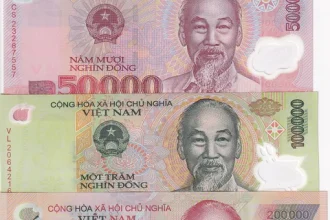 Vietnam bank notes for their currency, the Viet Dong. Bills include 10000, 20000, 50000, 100000, 200000, and 500000.
