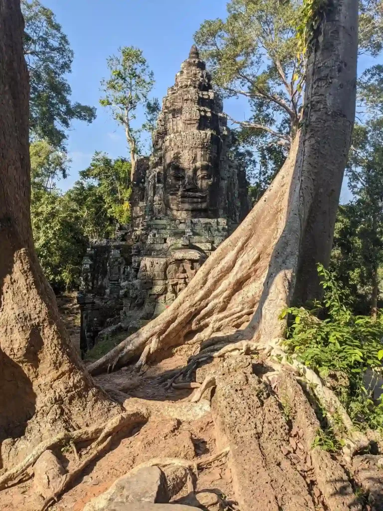 An image taken on the wall of one of the four Bayon gate entrances to enter Angkor Thom. The image is of the top part of the gate, which is an ancient Cambodian face. The are two trees on the wall. The image of the face is seen between these two trees. This is located within Angkor Archaeological Park, which is a UNESCO World Heritage Site.