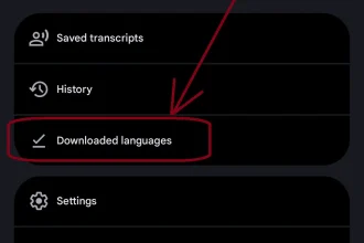 A screenshot of the account settings within the Google Translate app. There is an arrow pointing to the "Downloaded languages" button within the settings. This is to guide you where to find "Downloaded languages".