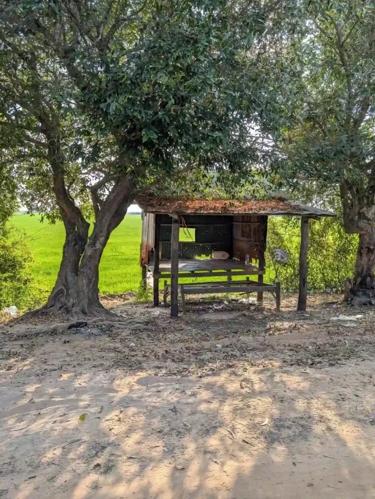 A hut next to a rice field in the countryside of Southeast Asia, which appears to be a resting spot for farmers and locals. The hut is on a back dirt road. It's construction is very simple - vertical wooden beams and an elevated wooden platform attached to it. There is a roof, and three side made with old rusty corrugated sheet metal. There is not front wall or door.